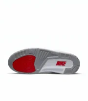 Air Jordan 3 Fire Red