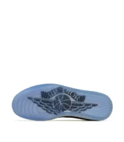 Dior x Air Jordan 1 Low OG